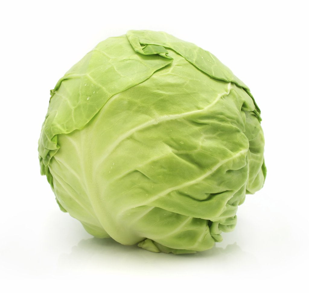 Green Cabbage Head