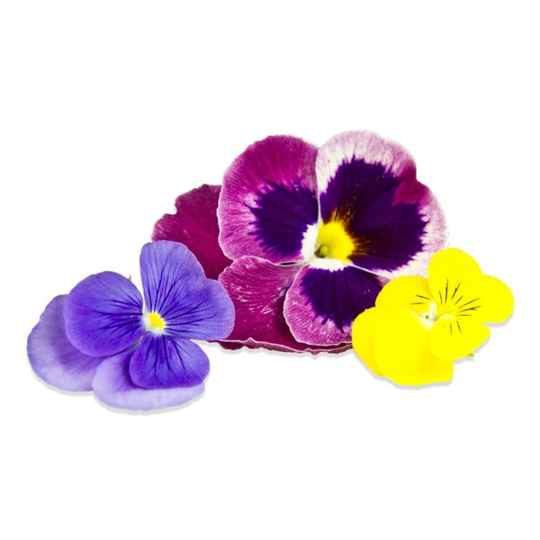 Edible Flowers Pansy
