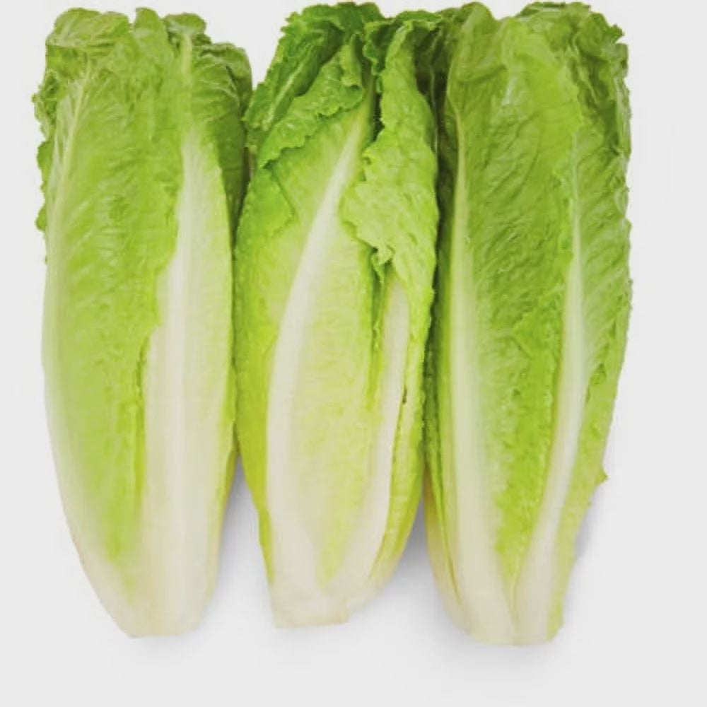Lettuce Romaine Heart 3 count