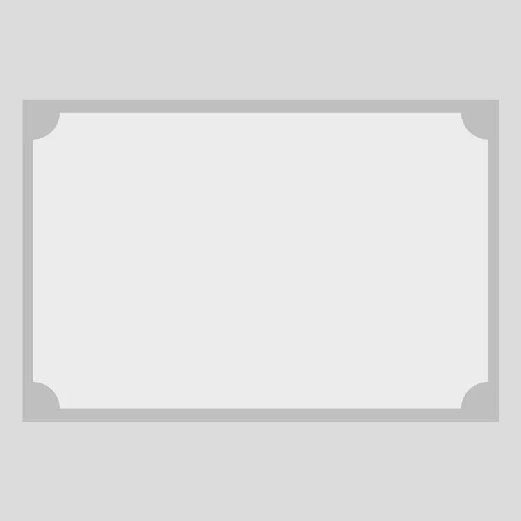 Zela Placemats 25ct Silver Border