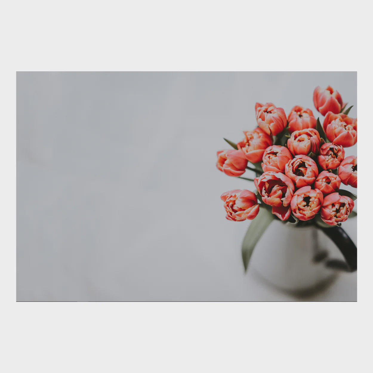 Zela Placemats 25ct Tulips