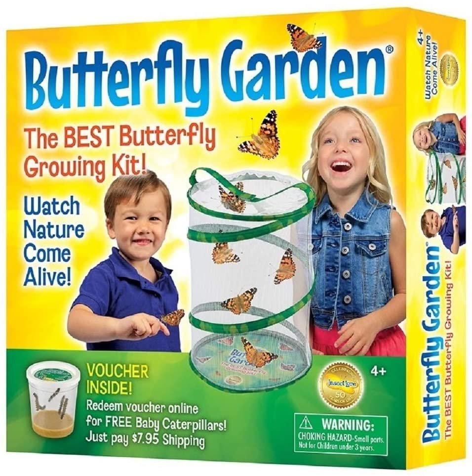 Butterfly Garden Growing Kit with Voucher