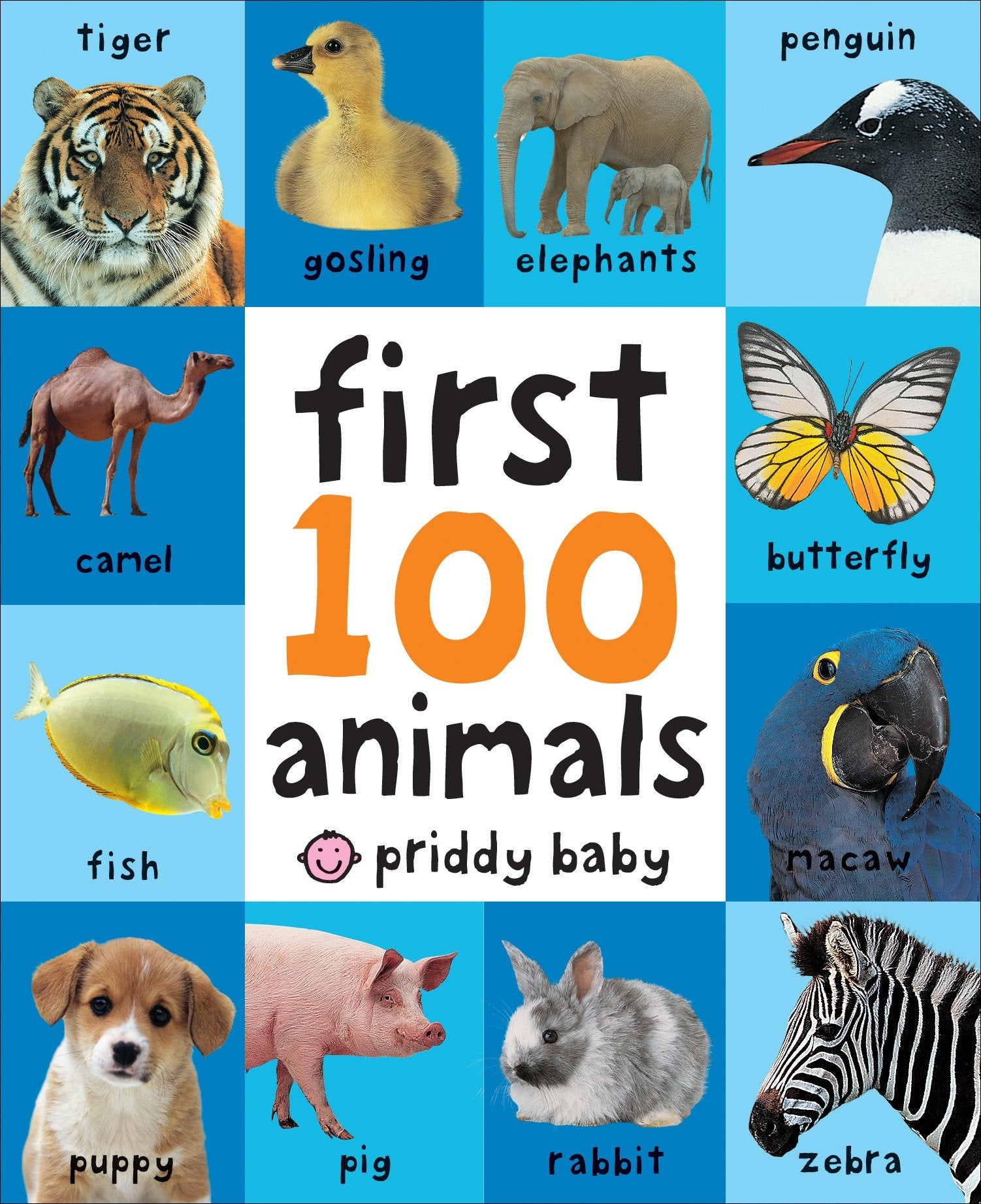 Priddy Books, First 100 Animals