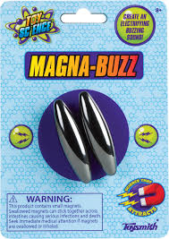 Toy Science Magna Buzz