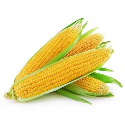 Sweet Corn, fresh ea