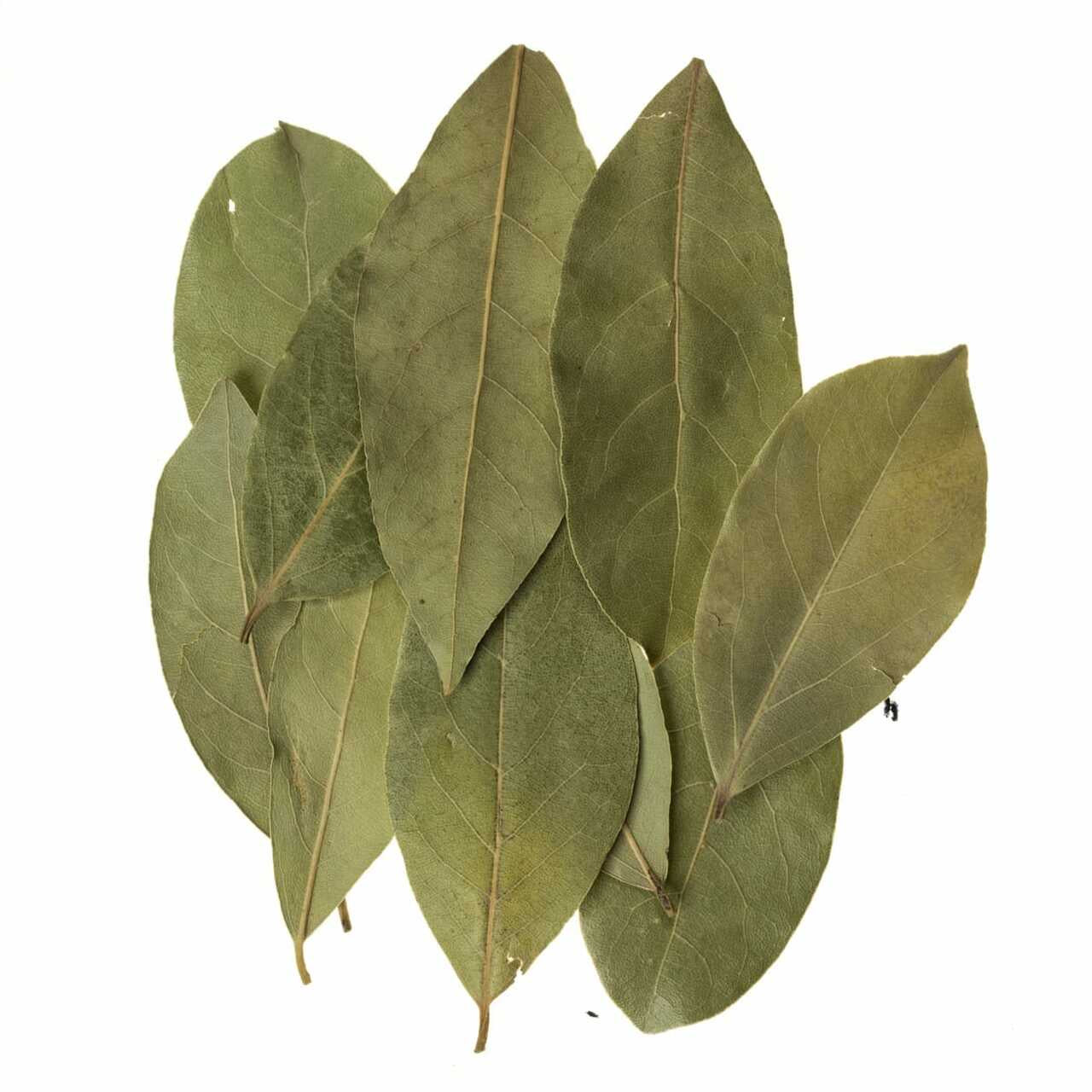 Todd's Bay Leaf .25oz