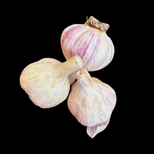 Fresh Garlic, Bagged. 4oz