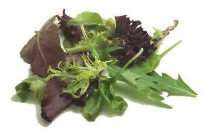 Fresh Lettuce Spring Mix 1lb bag