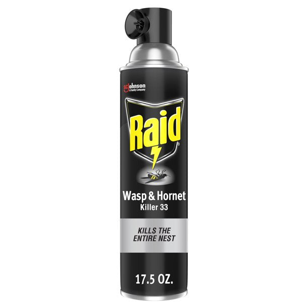 Raid Wasp/Hornet Spray 17.5oz