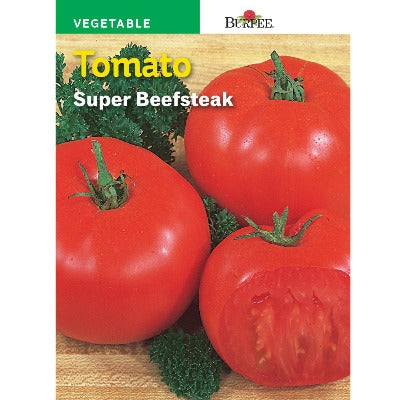 Tomato Plants - Single