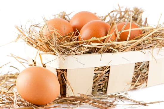 Cage Free Eggs 1 Dozen