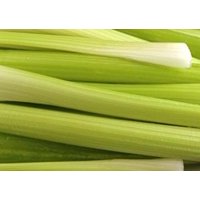 Celery  Heart - 2pk