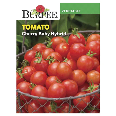 Tomato Plants - Single