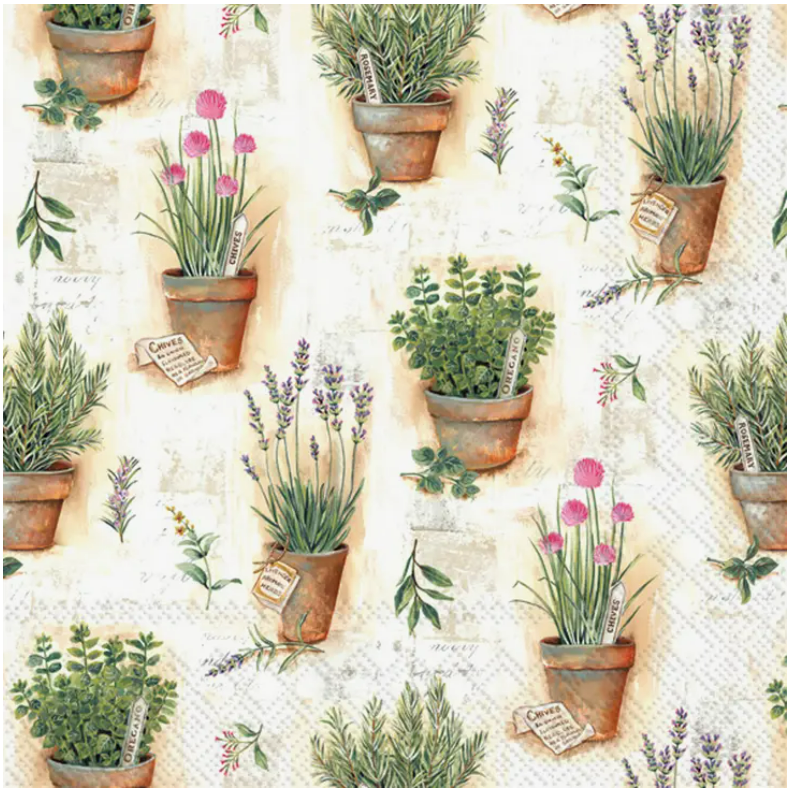 25cm x 25cm Cocktail Napkins