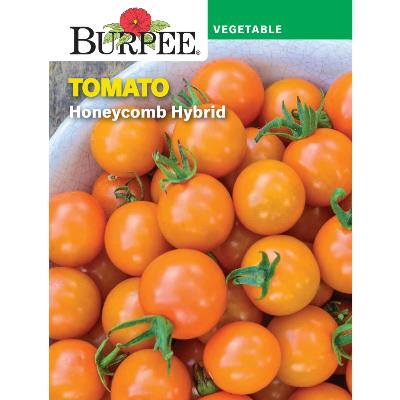 Tomato Plants - Single