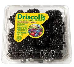 Blackberries 6oz