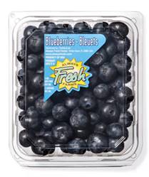Blueberries 1 pint