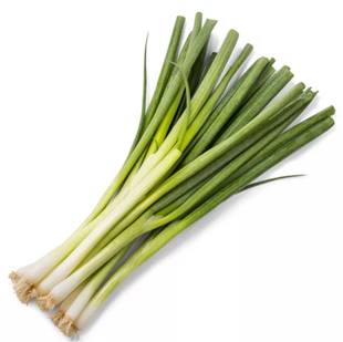 Onion Green Stalks