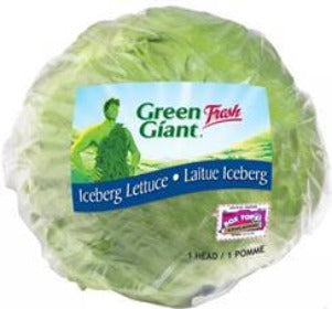 Lettuce Iceberg