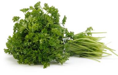 Herb Curly Parsley Bunch