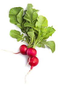 Radish, Red 1lb