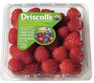 Raspberries Fresh 6 oz