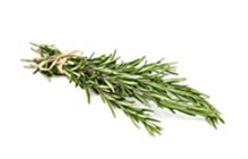 Herb, Rosemary Fresh Bunch