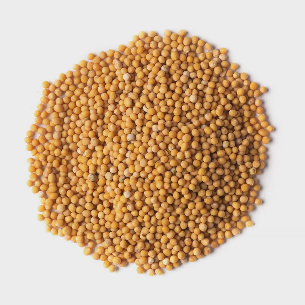 Todd's Mustard Seed 4.4oz