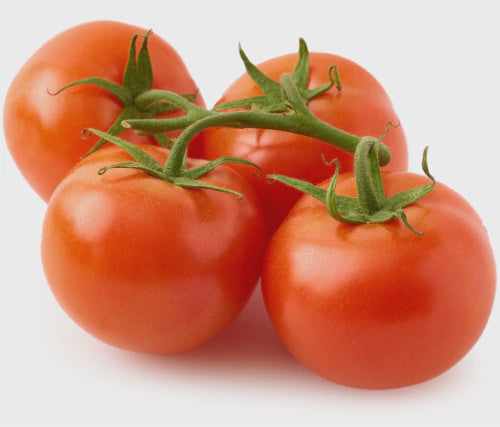 Tomato on the Vine