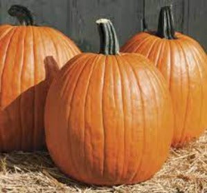 Pumpkin, Carving