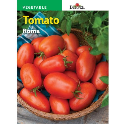 Tomato Plants - Single