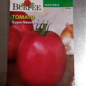 Tomato Plants - Single